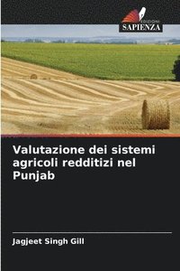 bokomslag Valutazione dei sistemi agricoli redditizi nel Punjab
