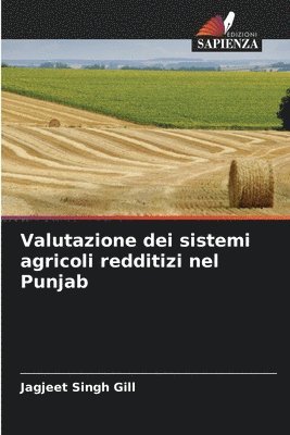 bokomslag Valutazione dei sistemi agricoli redditizi nel Punjab