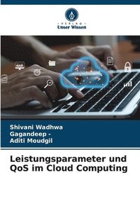 bokomslag Leistungsparameter und QoS im Cloud Computing