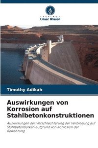 bokomslag Auswirkungen von Korrosion auf Stahlbetonkonstruktionen