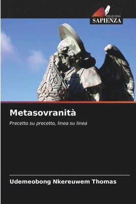 bokomslag Metasovranità