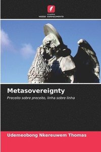 bokomslag Metasovereignty