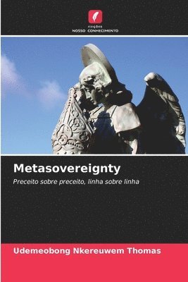 bokomslag Metasovereignty
