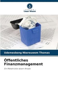 bokomslag Öffentliches Finanzmanagement