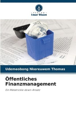 bokomslag Öffentliches Finanzmanagement