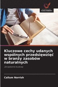 bokomslag Kluczowe cechy udanych wspólnych przedsi¿wzi¿¿ w bran¿y zasobów naturalnych