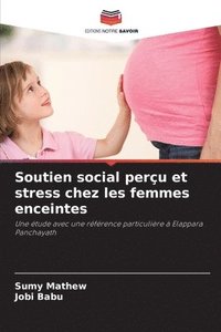 bokomslag Soutien social perçu et stress chez les femmes enceintes