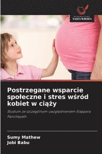 bokomslag Postrzegane wsparcie spo¿eczne i stres w¿ród kobiet w ci¿¿y