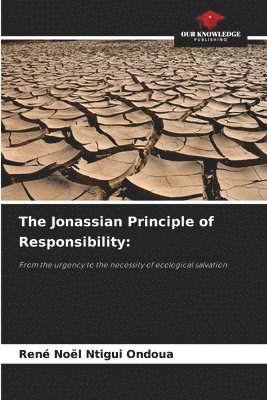 Jonassian Principle of Responsibility