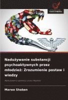bokomslag Nadu¿ywanie substancji psychoaktywnych przez m¿odzie¿: Zrozumienie postaw i wiedzy