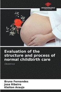 bokomslag Evaluation of the structure and process of normal childbirth care