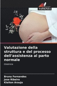 bokomslag Valutazione della struttura e del processo dell'assistenza al parto normale