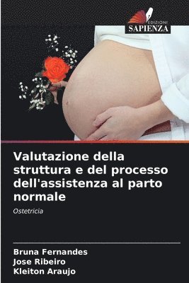 Bruna Fernandes, José Ribeiro, Kleiton Araújo, Kleiton Ribeiro, José - Valutazione della struttura e del processo dell'assistenza al parto normale, Häftad