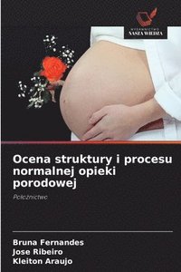 bokomslag Ocena struktury i procesu normalnej opieki porodowej
