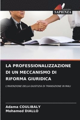 bokomslag Professionalizzazione Di Un Meccanismo Di Riforma Giuridica