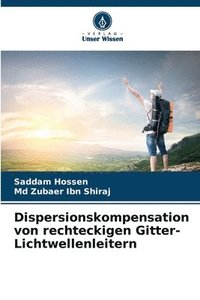 bokomslag Dispersionskompensation von rechteckigen Gitter-Lichtwellenleitern