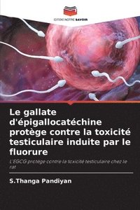 bokomslag Le gallate d'épigallocatéchine protège contre la toxicité testiculaire induite par le fluorure