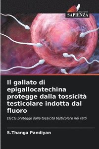 bokomslag Il gallato di epigallocatechina protegge dalla tossicità testicolare indotta dal fluoro