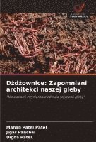 bokomslag D?d?ownice: Zapomniani architekci naszej gleby