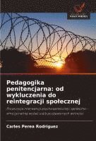 bokomslag Pedagogika penitencjarna: od wykluczenia do reintegracji spo¿ecznej