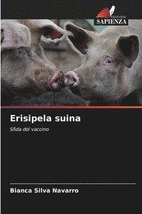 bokomslag Erisipela suina