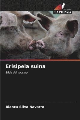 bokomslag Erisipela suina