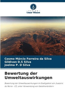 bokomslag Bewertung der Umweltauswirkungen