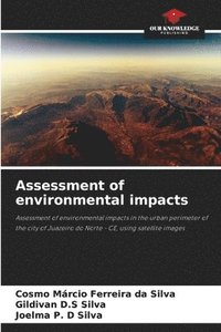 bokomslag Assessment of environmental impacts