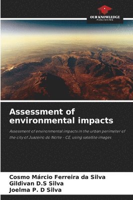 bokomslag Assessment of environmental impacts