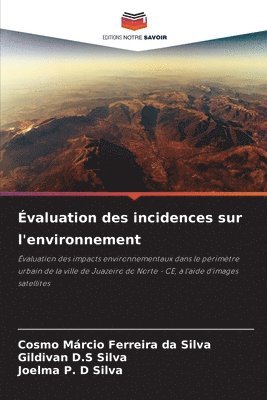 Cosmo Márcio Ferreira Da Silva, Gildivan D S Silva, Joelma P D Silva, Gildivan D. S. Silva, Cosmo Márcio Ferreira da Silva, Gildivan D.S Silva, Gildivan D. S Silva, Joelma P. D Silva - Évaluation des incidences sur l'environnement, Häftad