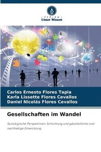 bokomslag Gesellschaften im Wandel