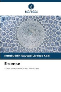 bokomslag E-sense