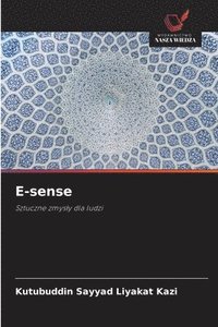 bokomslag E-sense