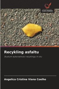 bokomslag Recykling asfaltu
