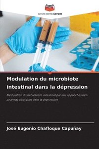 bokomslag Modulation du microbiote intestinal dans la dépression