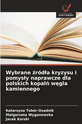 bokomslag Wybrane ¿ród¿a kryzysu i pomys¿y naprawcze dla polskich kopal¿ w¿gla kamiennego