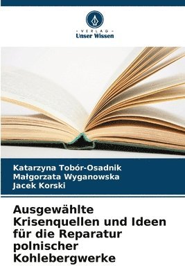 bokomslag Ausgewählte Krisenquellen und Ideen für die Reparatur polnischer Kohlebergwerke