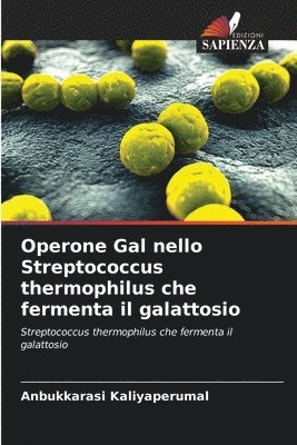 bokomslag Operone Gal nello Streptococcus thermophilus che fermenta il galattosio