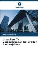 bokomslag Ursachen für Verzögerungen bei großen Bauprojekten