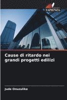 bokomslag Cause di ritardo nei grandi progetti edilizi