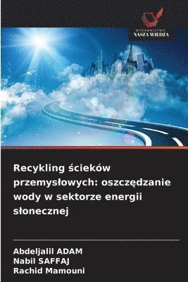 bokomslag Recykling ?cieków przemyslowych: oszcz?dzanie wody w sektorze energii slonecznej