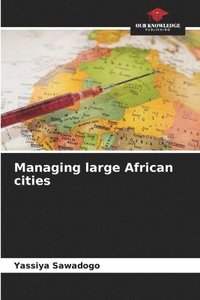 bokomslag Managing large African cities