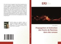 bokomslag Propagation et Extinction des fronts de flammes dans des canaux