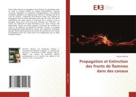 bokomslag Propagation et Extinction des fronts de flammes dans des canaux