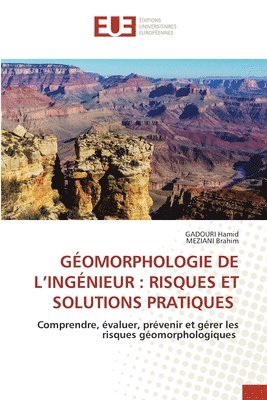 bokomslag GÉOMORPHOLOGIE DE L'INGÉNIEUR : RISQUES ET SOLUTIONS PRATIQUES