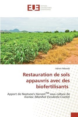 bokomslag Restauration de sols appauvris avec des biofertilisants