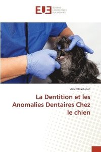 bokomslag Dentition et les Anomalies Dentaires Chez le chien