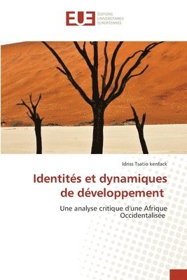 bokomslag Identités et dynamiques de développement