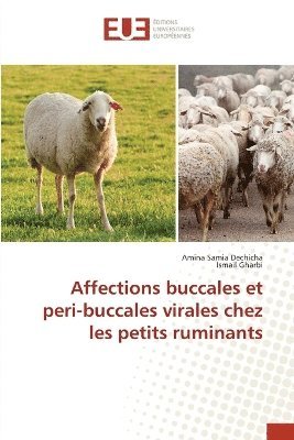 bokomslag Affections buccales et peri-buccales virales chez les petits ruminants