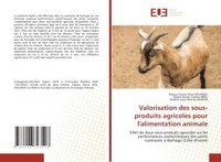 bokomslag Valorisation des sous-produits agricoles pour l'alimentation animale